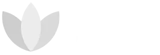 sintesa network 320